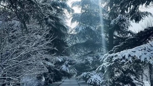 ������� �����������. ������ ������ � �������� ������� � � ����� �����