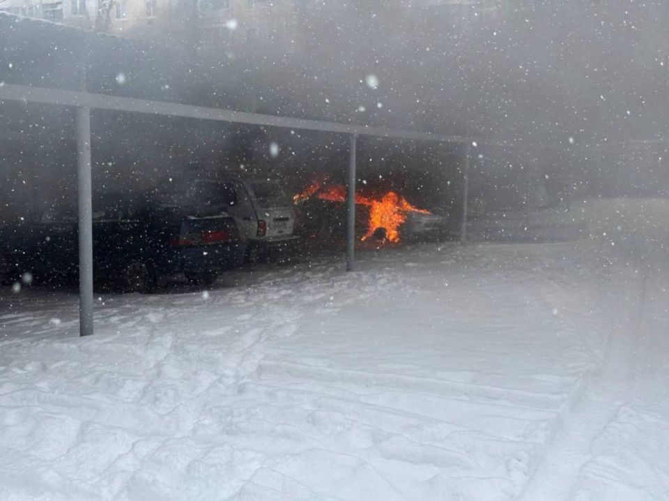 ���� ����: ���������� ��� ����� ���������� 106 ���������� ����: 44 � ��� ������������ ���, 22 � ��� ���������, �� 11 � ��� ���������� � �����������, 7 � ��� �������, �� 4 � ��� �������� � �������������, �� 1 � ���...