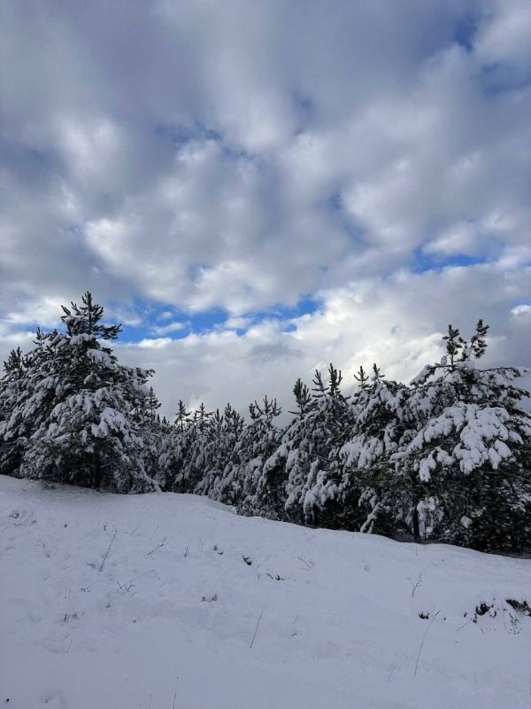 ����� �������: ��������� ����� � ������ � ��������� ��� � �������������� ����� �����