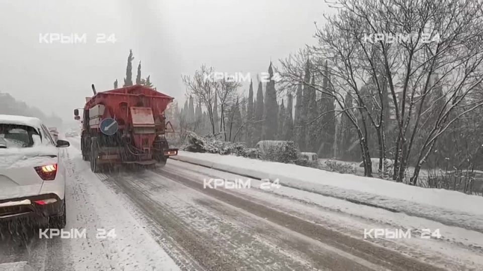 ����� ������ ������ ����������� ������� �� ����� ������ ����������� �����