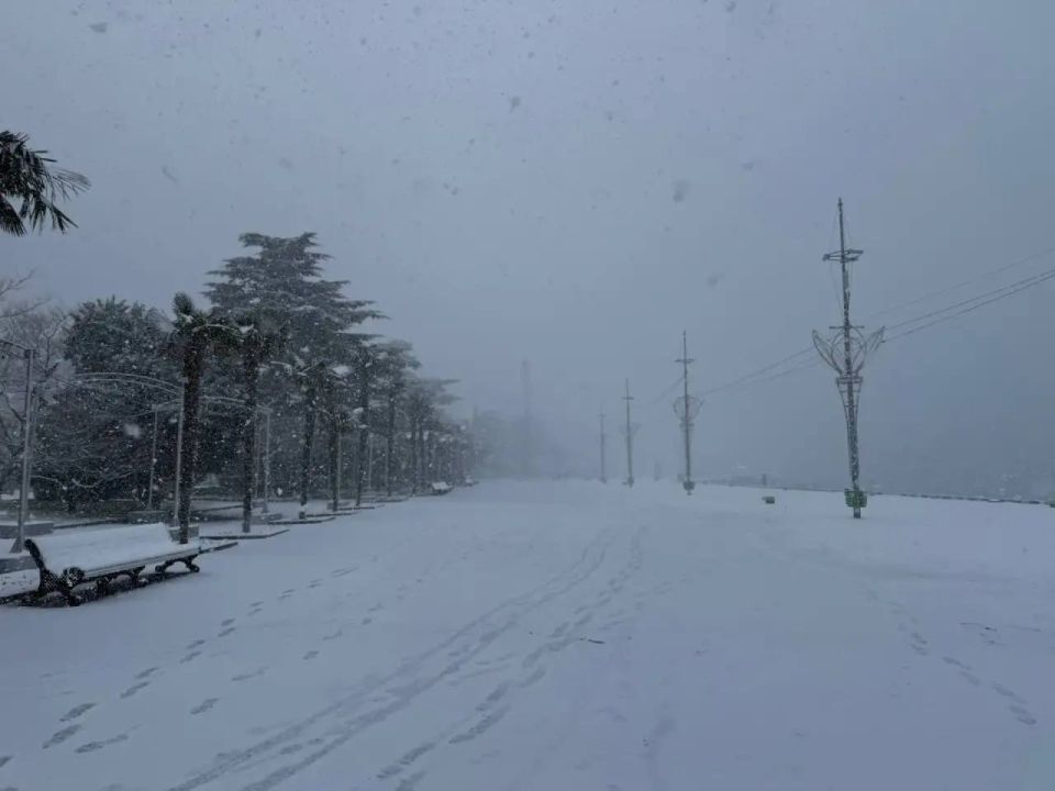 Детей отпускают со школ Ялты из-за сильной метели Детей отпускают со школ Ялты из-за сильной метели
