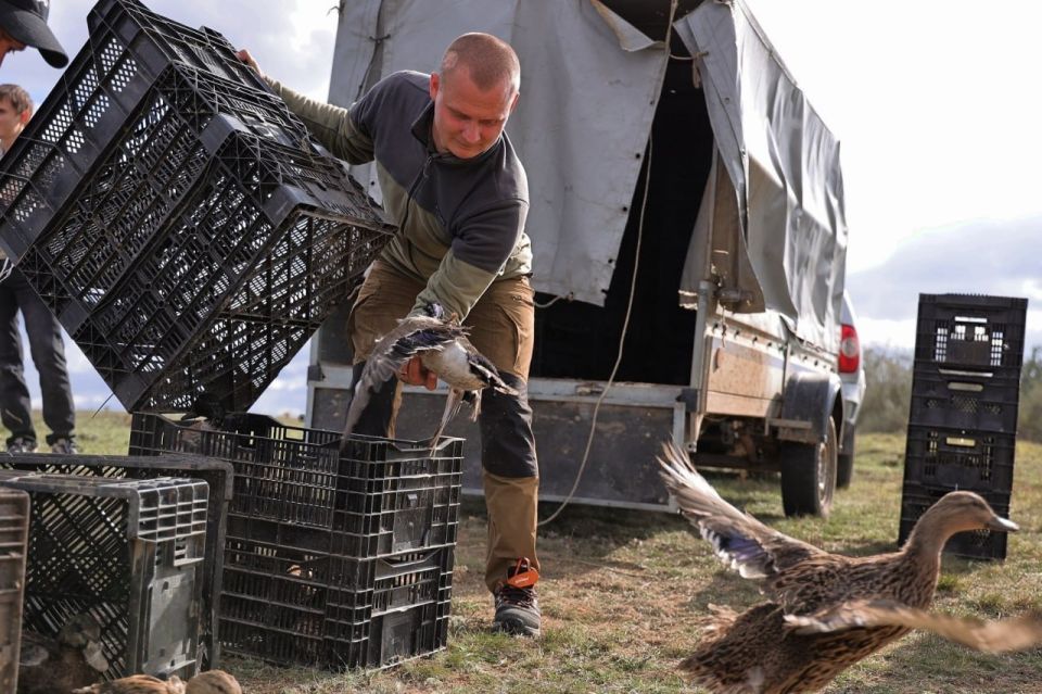 ����� �������: �����_2025: ����� � ���������� ���������� ��������