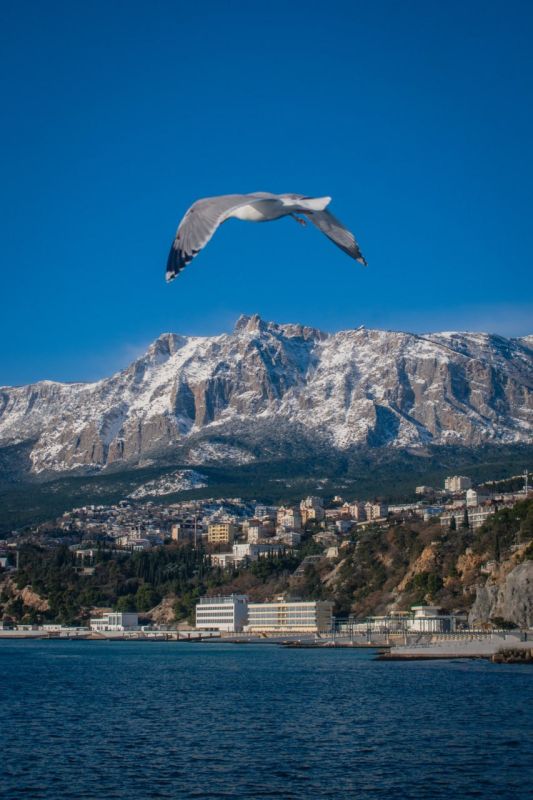 ������� �������� � ����� �� ����� ����� �����