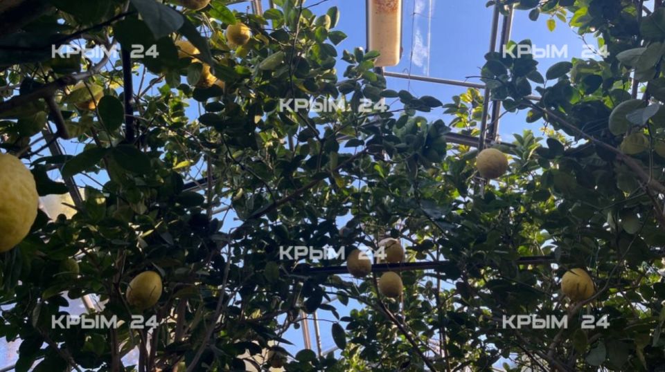 ��������� ���������� � ����� ���������� ������� ����� ���������