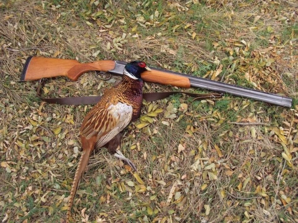 2026-� ��� ��������, �� ������� � ���� ������� ���������� 2025-��