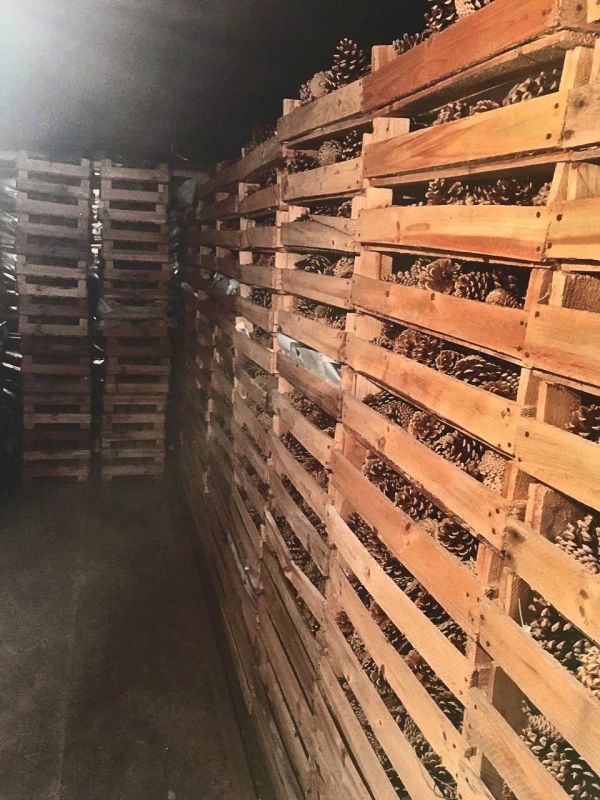 ����� �������: ��������� ����� � ������ � ��������� ��� � �������������� ����� �����