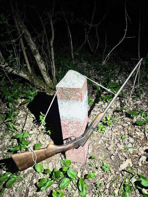 ����� �������: �����_2025: ����� � ���������� ���������� ��������