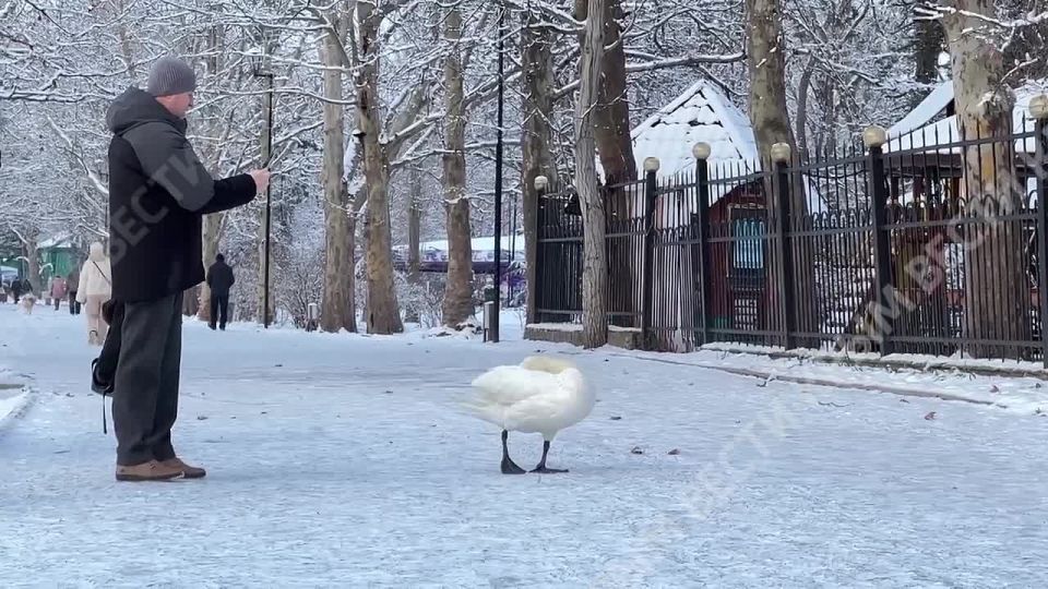 ������ � ��������������� ����������� �����