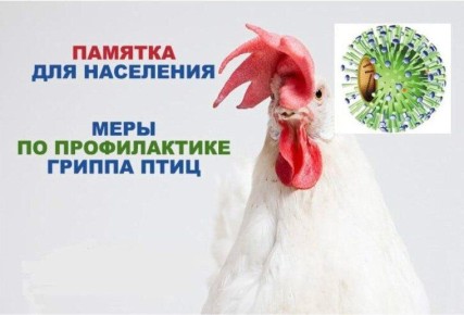 ������� ��� ���������. ���� �� ������������ �������� ������