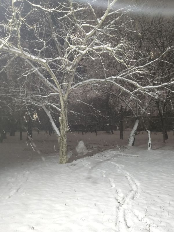 � �� ��� ������ ��������� � ���� ����?