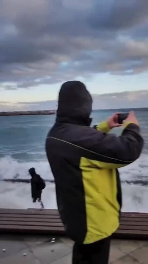 ����� ��������: �������� ������ �������� ������ ������� ������ � ����������� ��������� � ������� ��������