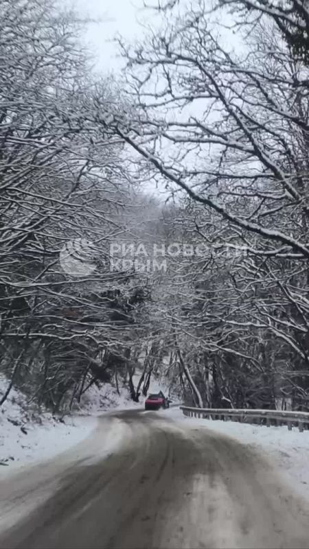 ���� + ���� = ���������.. ����� ������ ��������� ������ ����� � ������� �����