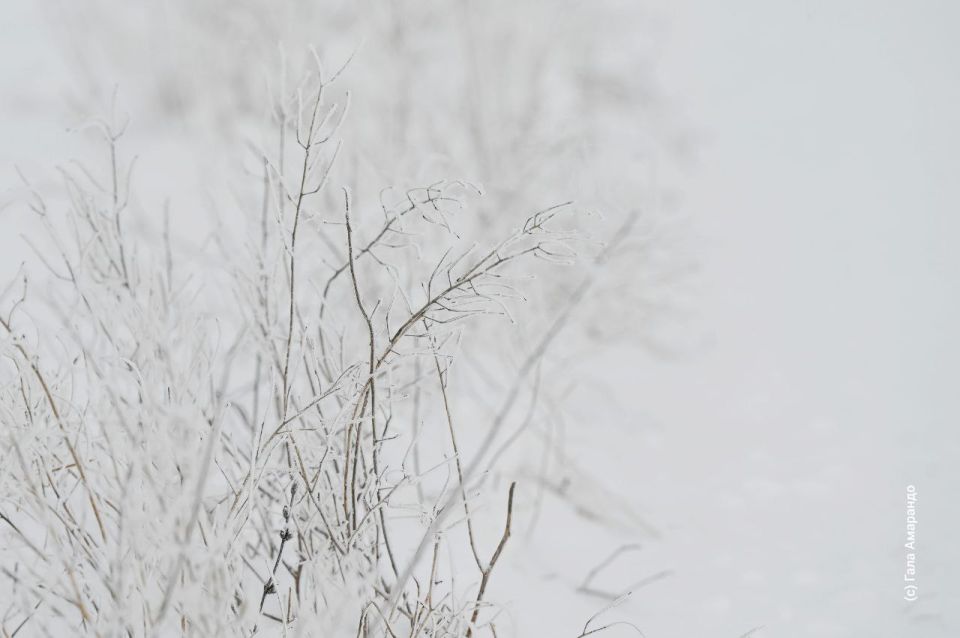 �� �������� � ����� ������� � ������������