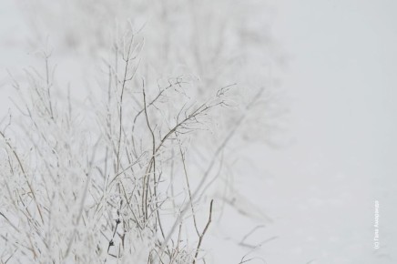 �� �������� � ����� ������� � ������������