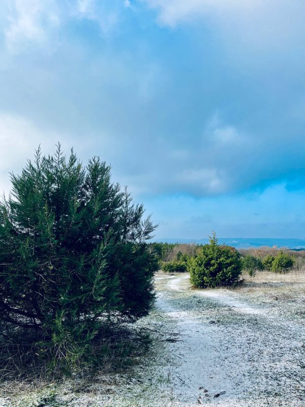 ������ �� 17 ������ :