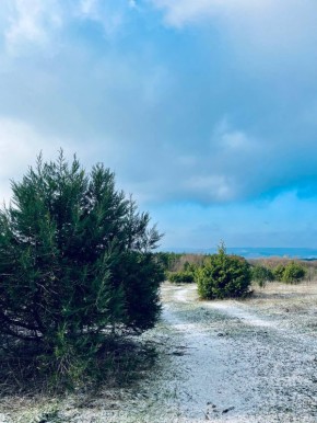 ������ �� 17 ������ :