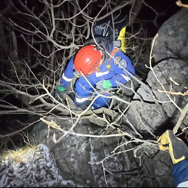 ������� ������� �� 50-�������� ������ � �����������