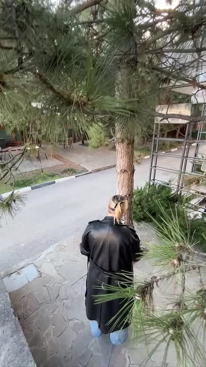 0 �������, �������� �������� �� ����, ���������� ���������