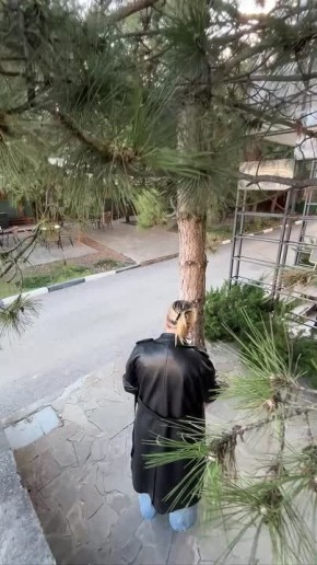 0 �������, �������� �������� �� ����, ���������� ���������