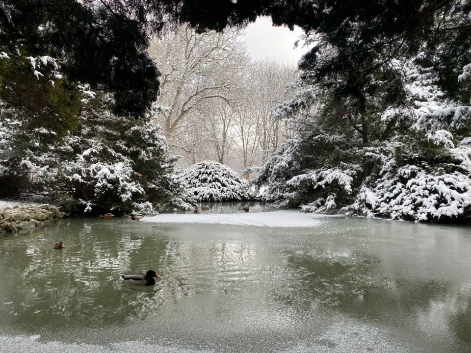 ������� ������ � ����� �� 17 ������