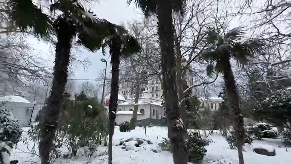 11111 ���� �� ������ � ������ ���� ������ ������������ ���� � �������� ��� ������� �������