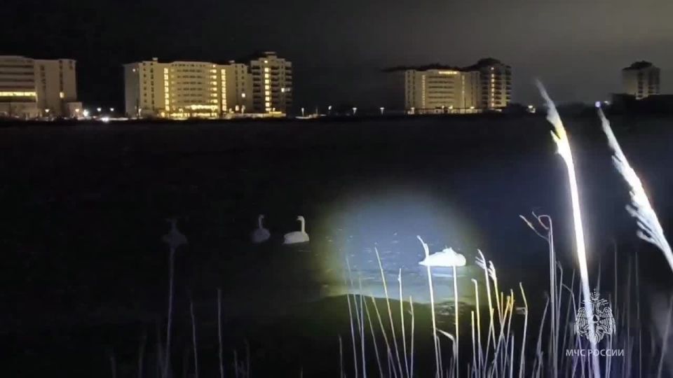 � ����� ���������� ���������� � ���������� ������� �� ����� �����-�����