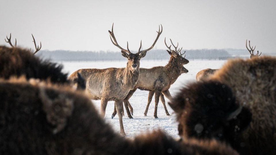 ������ 1000 ��������, ������� �� ������ �������, �������� �������� � ����������� "�������-����" �� ������� ������