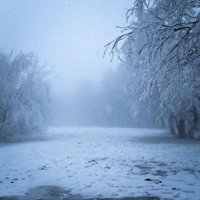 ����� ������ ��� ������� � ������ ����� 18 ������