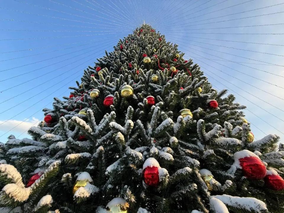 ���, ����� � ������� ����: ��� �������� ����������� ����