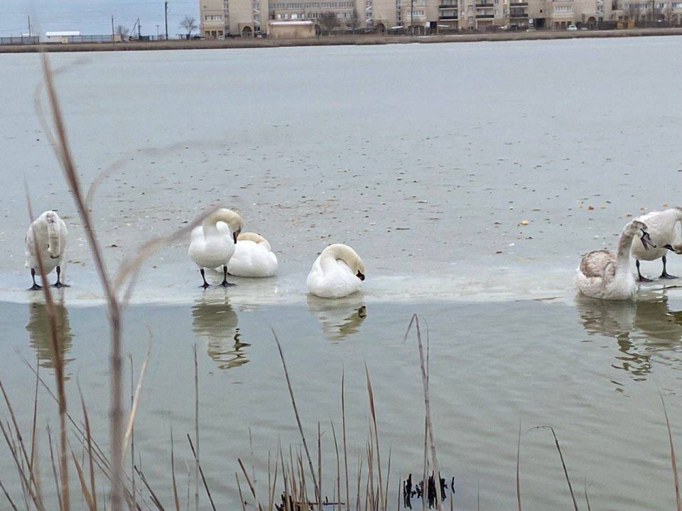 ������ �� ����� �����-����� � � �������