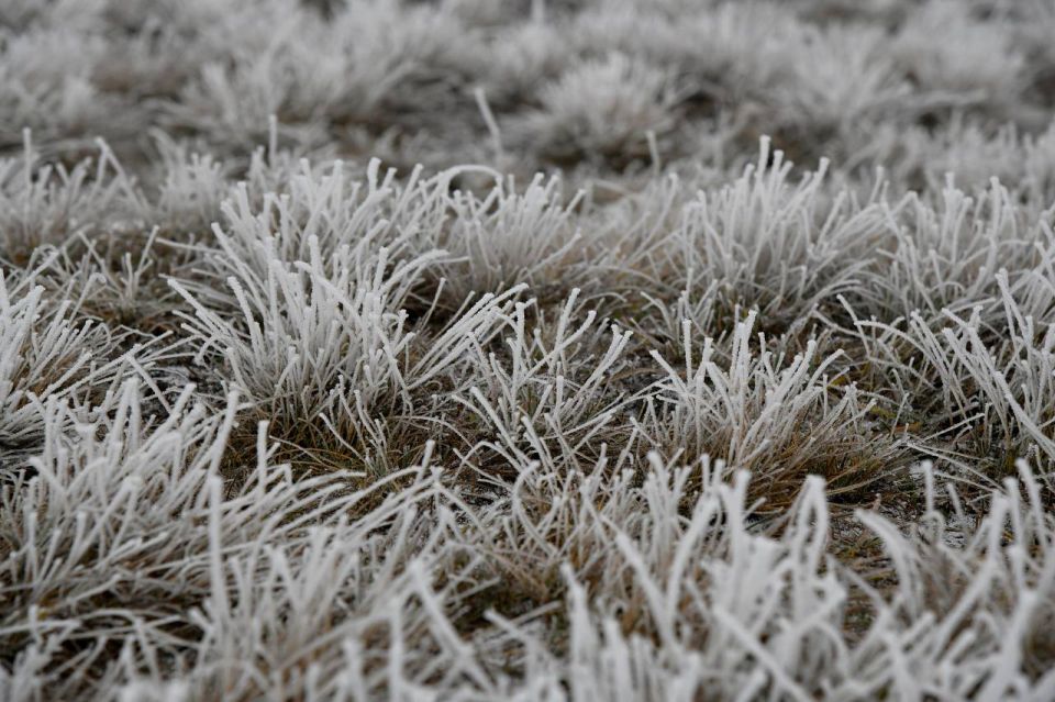 ������ ������ � ��������� �����-������ �����������