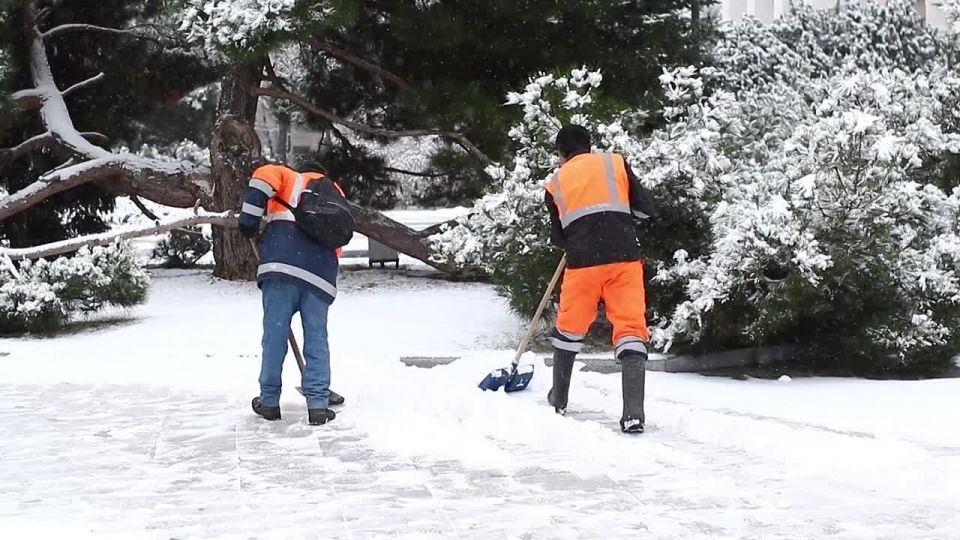 ��� ������ ���������� ������ �� ���������� ����������� ��������