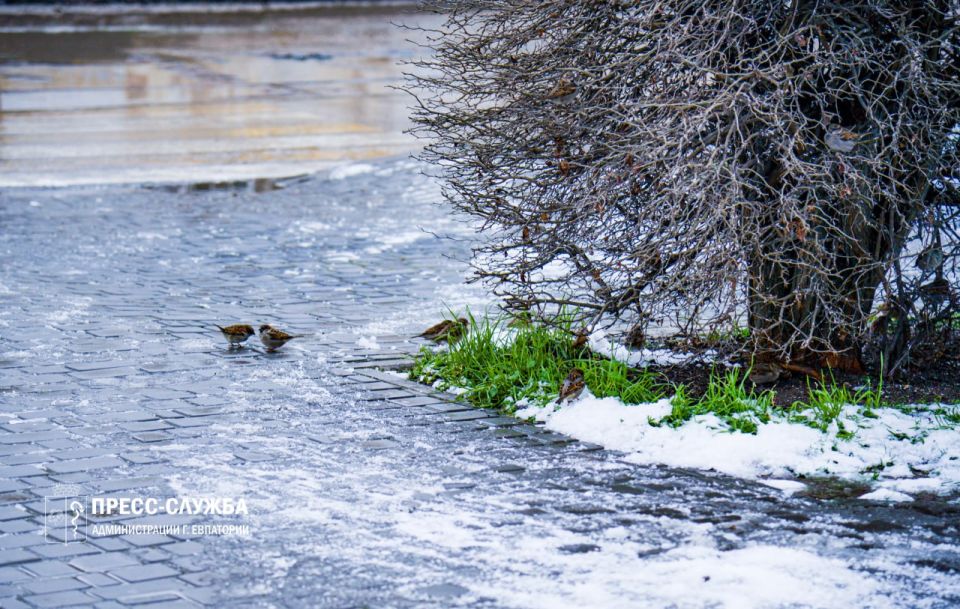 ������ ����, ���������!. ����������� ������� ���������� ������� �� -3��