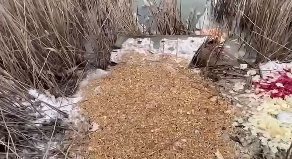 ������ �� ����� �����-����� � � �������