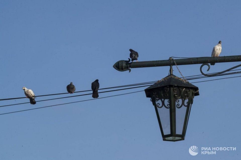 ���� ��� ��� ������������ �������� ��� ����� ��-�� ������