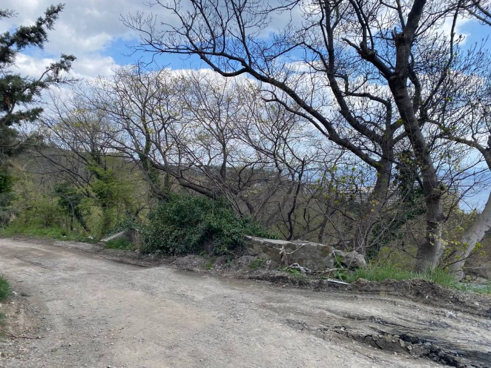 �� ��� ���������� �� ������ � ����� �����, ��������� � ������ ����������� � ��������� ������������� ���������� �����, ��������� �������������� ���������� ���������������� � ������� ������ ���������� ����� � ������� ���������