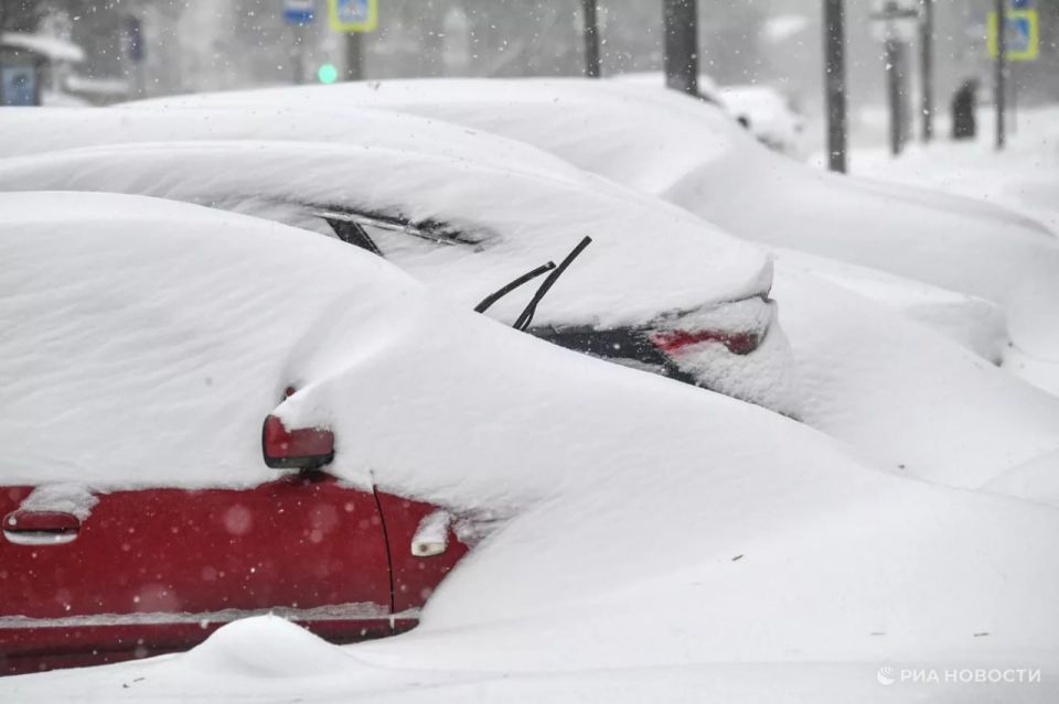 ������������� � ��������: ����� �� ���������� � ����������� ����� �� 22%