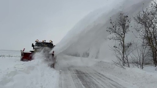 ������ ��������, �� ������ ���������� �� ��������������� �� �� ������