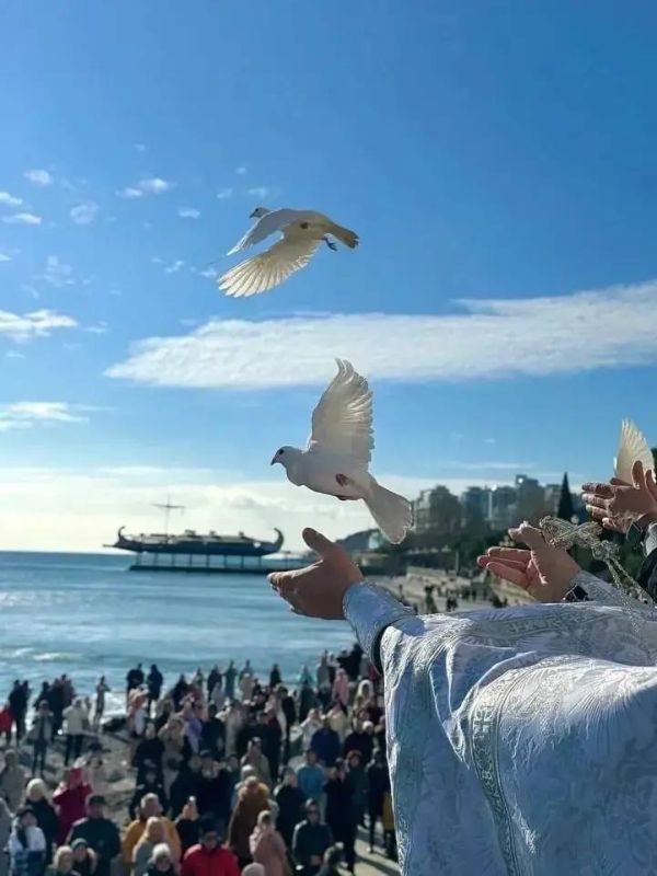 � ����� �������� �������� �������� ��������