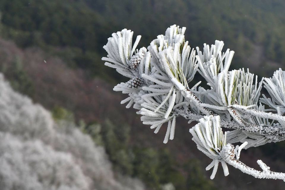 ������ ������ � ��������� �����-������ �����������