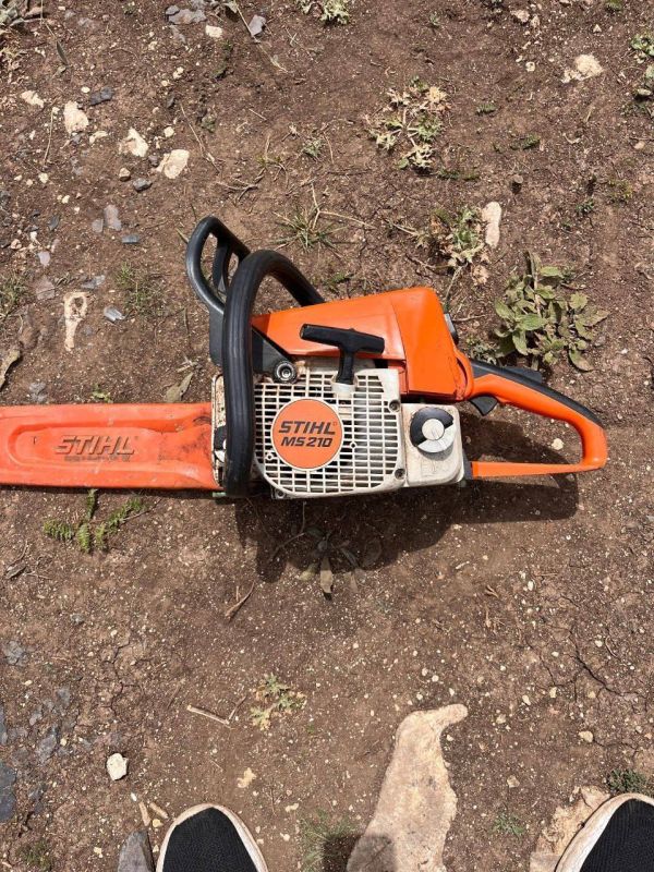 ����� �������: �����-2025: ������, ��������, ������