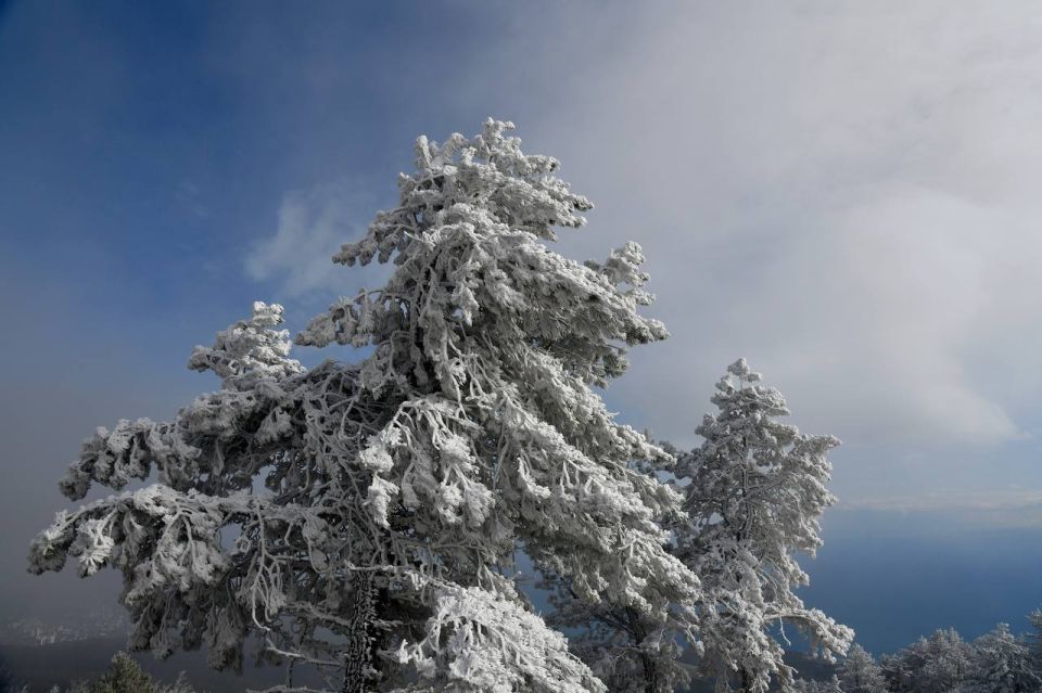 ������ ������ � ��������� �����-������ �����������