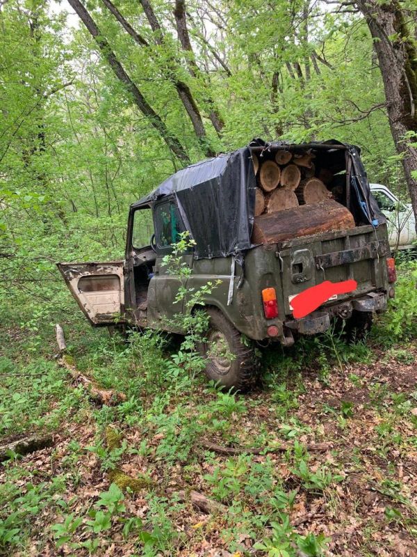 �� ��� ���������� �� ������ � ����� �����, ��������� � ������ ����������� � ��������� ������������� ���������� �����, ��������� �������������� ���������� ���������������� � ������� ������ ���������� ����� � ������� ���������