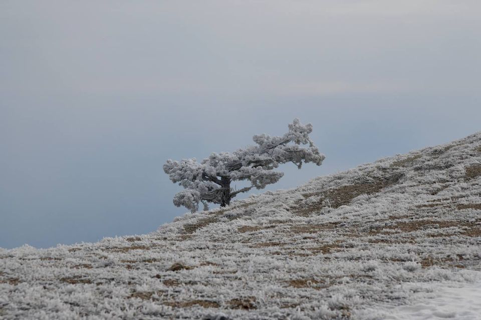 ������ ������ � ��������� �����-������ �����������