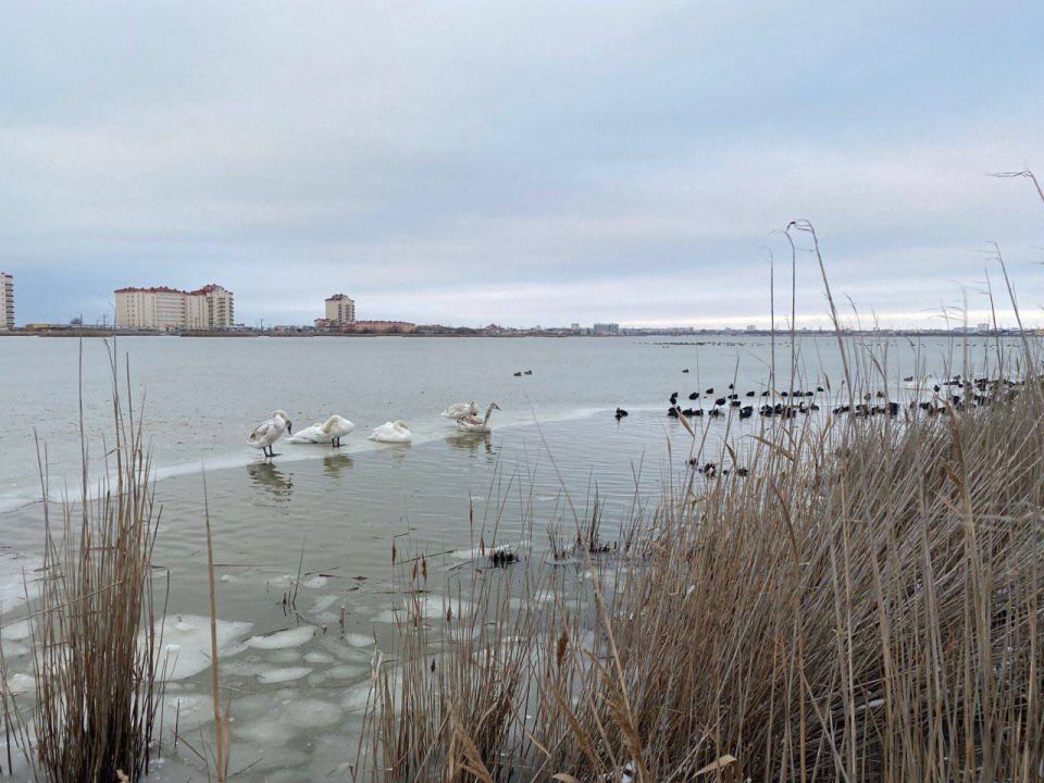 ������ �� ����� �����-����� � � �������