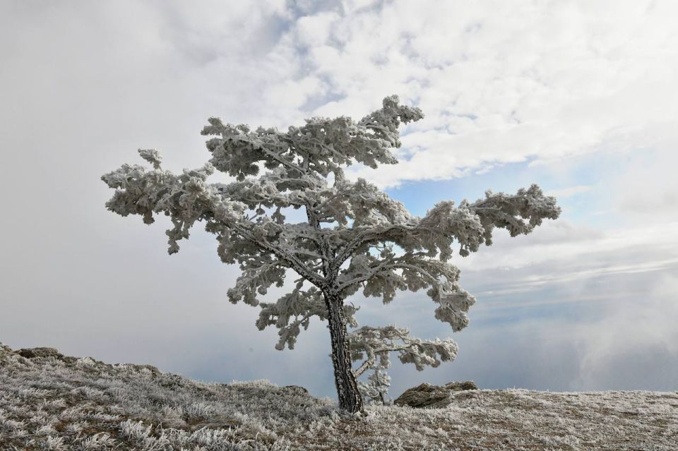 ������ ������ � ��������� �����-������ �����������