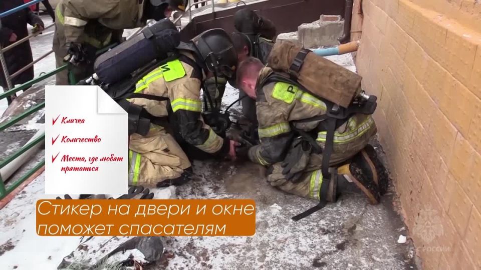 Как обезопасить питомцев при пожаре?