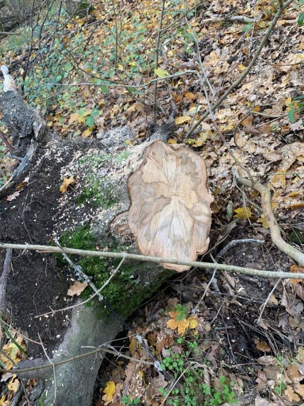 �� ��� ���������� �� ������ � ����� �����, ��������� � ������ ����������� � ��������� ������������� ���������� �����, ��������� �������������� ���������� ���������������� � ������� ������ ���������� ����� � ������� ���������