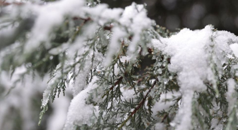 ������ ����, �����������!. #����������� #����