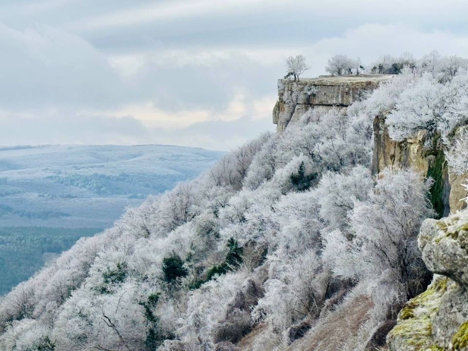 "�� ������ �����:" ���������� ����������� ��������� ������� � ���� ����������